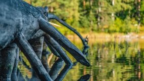 Jezioro Wesołek - zdjęcie 27