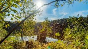 Jezioro Wesołek - zdjęcie 26