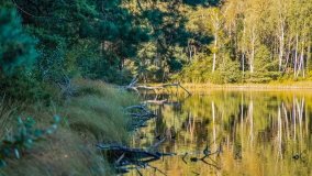 Jezioro Wesołek - zdjęcie 25