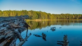 Jezioro Wesołek - zdjęcie 24