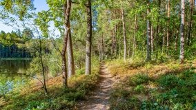 Jezioro Wesołek - zdjęcie 23