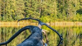 Jezioro Wesołek - zdjęcie 21