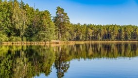 Jezioro Wesołek - zdjęcie 19