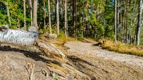 Jezioro Wesołek - zdjęcie 17