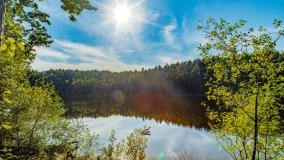 Jezioro Wesołek - zdjęcie 16