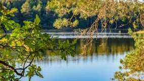 Jezioro Wesołek - zdjęcie 13