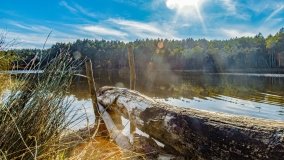 Jezioro Wesołek - zdjęcie 12