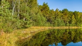 Jezioro Wesołek - zdjęcie 11