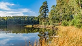 Jezioro Wesołek - zdjęcie 10