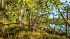 Jezioro Wesołek - zdjęcie 9