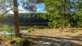 Jezioro Wesołek - zdjęcie 8