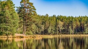 Jezioro Wesołek - zdjęcie 6