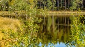 Jezioro Wesołek - zdjęcie 5