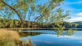 Jezioro Wesołek - zdjęcie 3