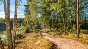 Jezioro Wesołek - zdjęcie 2