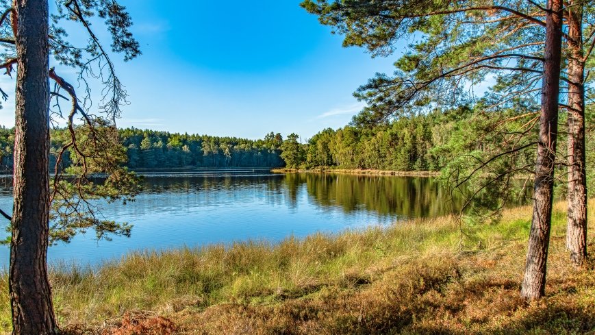 Jezioro Wesołek - zdjęcie 1