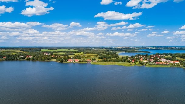 Ogonki - zdjęcie 33