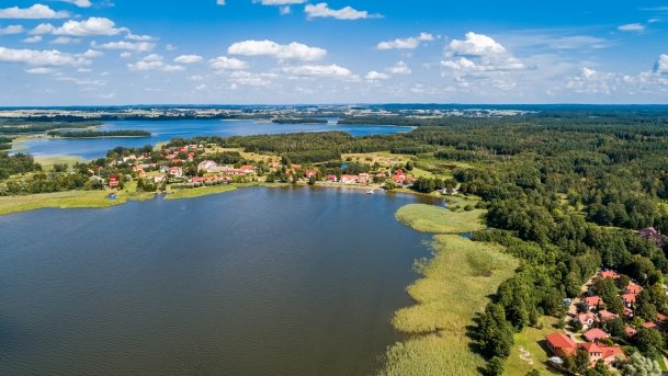 Ogonki - zdjęcie 27