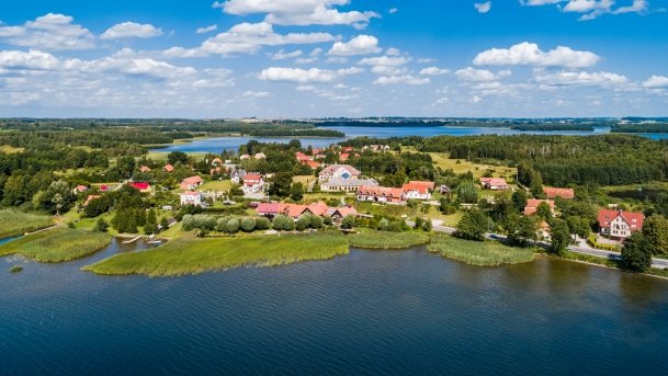 Ogonki - zdjęcie 18