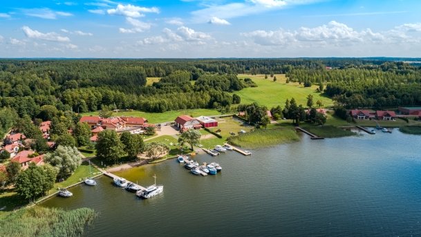 Ogonki - zdjęcie 14