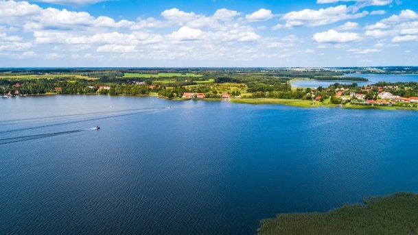 Ogonki - zdjęcie 12