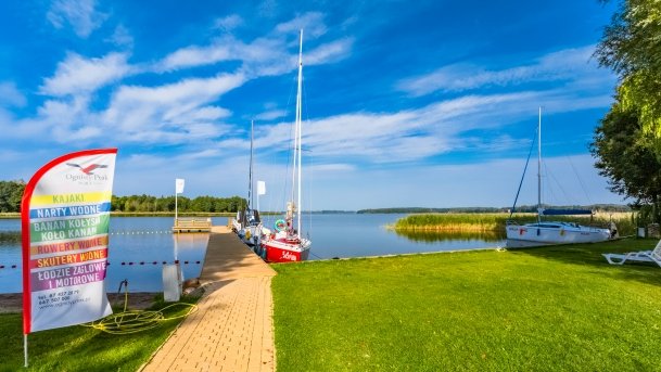 Ogonki - zdjęcie 91