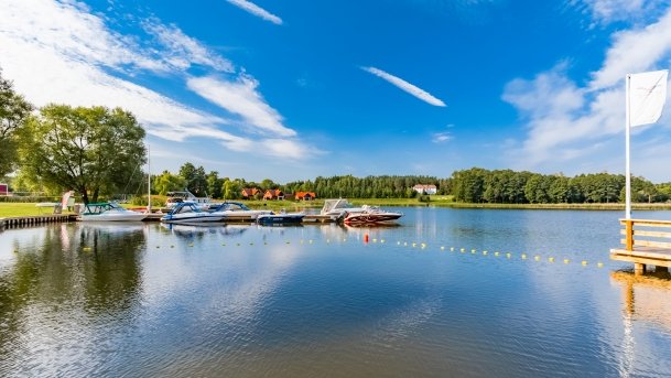 Ogonki - zdjęcie 88