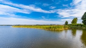 Ogonki - zdjęcie 93