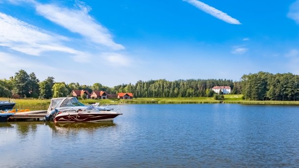 Ogonki - zdjęcie 86