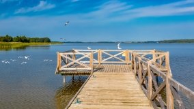 Ogonki - zdjęcie 80