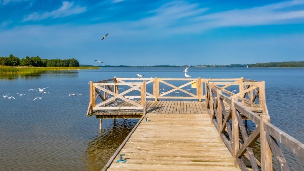 Ogonki - zdjęcie 74