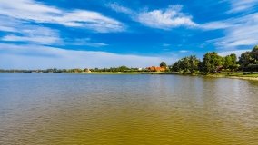 Ogonki - zdjęcie 78