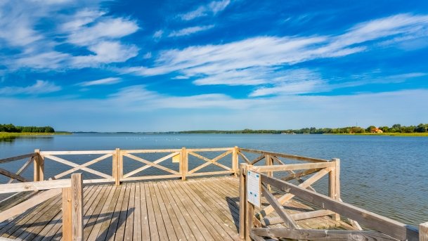 Ogonki - zdjęcie 71