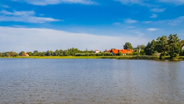 Ogonki - zdjęcie 68