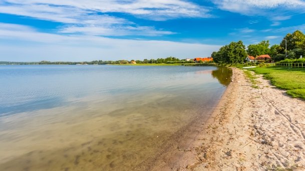 Ogonki - zdjęcie 67