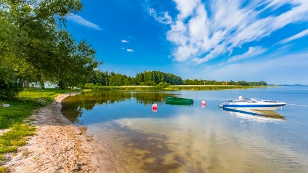 Ogonki - zdjęcie 65