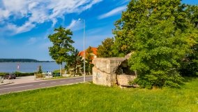 Ogonki - zdjęcie 68