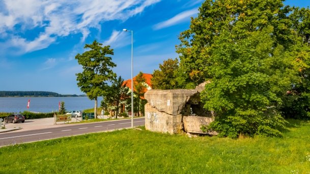 Ogonki - zdjęcie 62