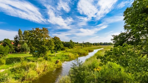 Ogonki - zdjęcie 58