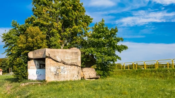 Ogonki - zdjęcie 55