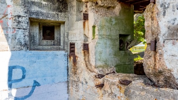 Ogonki - zdjęcie 51