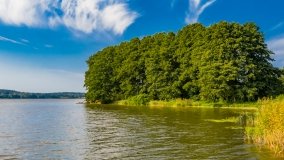 Kolonia Rybacka - zdjęcie 16