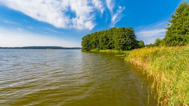 Kolonia Rybacka - zdjęcie 6