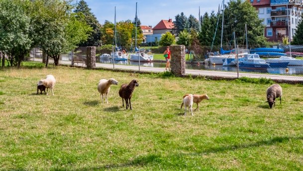 Muzeum Kultury Ludowej - zdjęcie 3