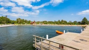 Węgorzewo - zdjęcie 164