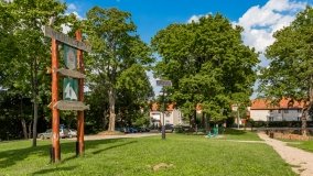 Węgorzewo - zdjęcie 134