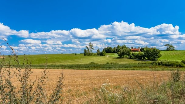 Trygort - zdjęcie 41