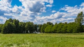 Trygort - zdjęcie 35