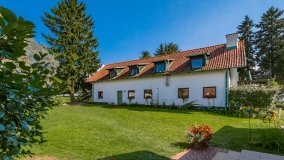 Trygort - zdjęcie 32