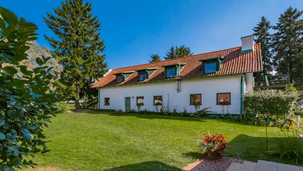 Trygort - zdjęcie 32